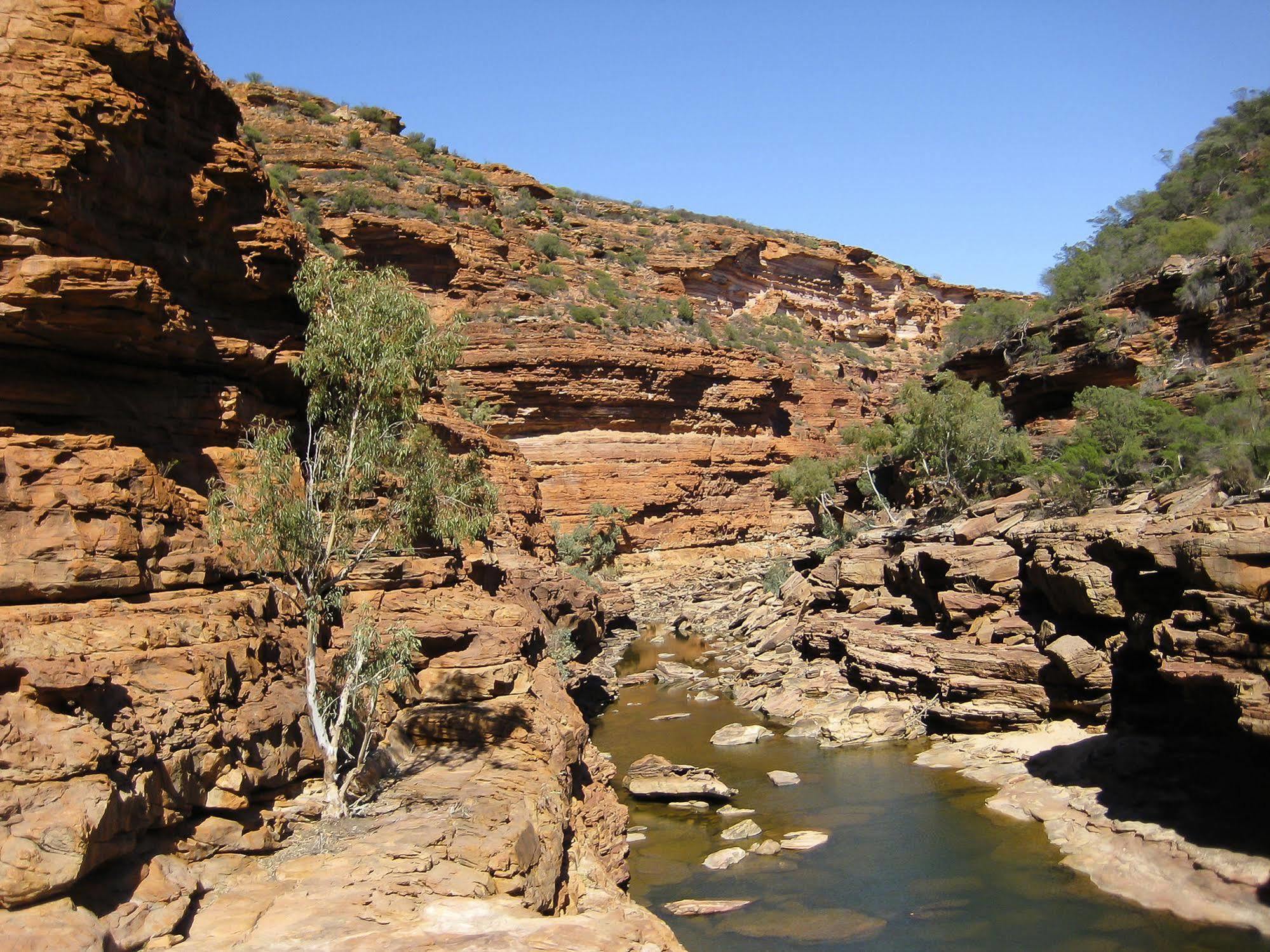 Kalbarri Palm Resort Eksteriør bilde